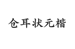 无衬线字体样式